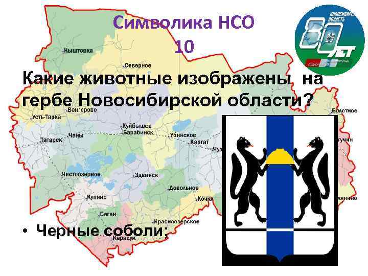 Символика НСО 10 Какие животные изображены на гербе Новосибирской области? • Черные соболи; 