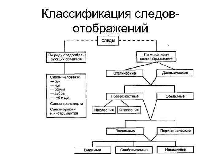 Виды следов в криминалистике