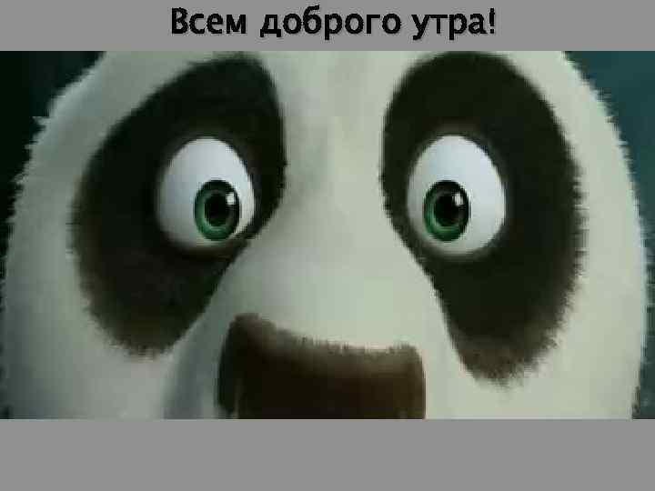 Всем доброго утра! 