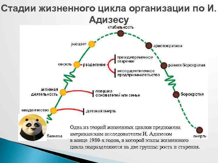 Последовательность стадий жизненного цикла. Этапы жизненного цикла организации. Фазы жизненного цикла организации. Стадии жизненного цикла компании. Следующие фазы жизненного цикла организации.