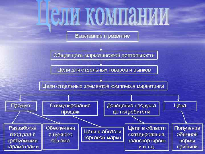 Выживание и развитие Общая цель маркетинговой деятельности Цели для отдельных товаров и рынков Цели