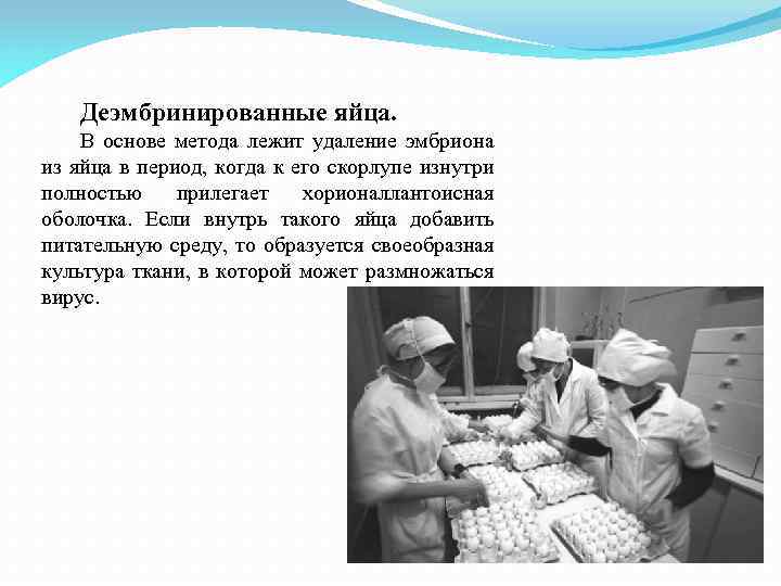 Деэмбринированные яйца. В основе метода лежит удаление эмбриона из яйца в период, когда к