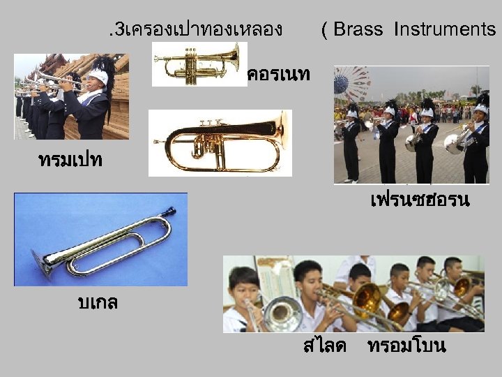 . 3เครองเปาทองเหลอง ( Brass Instruments ) คอรเนท ทรมเปท เฟรนซฮอรน บเกล สไลด ทรอมโบน 