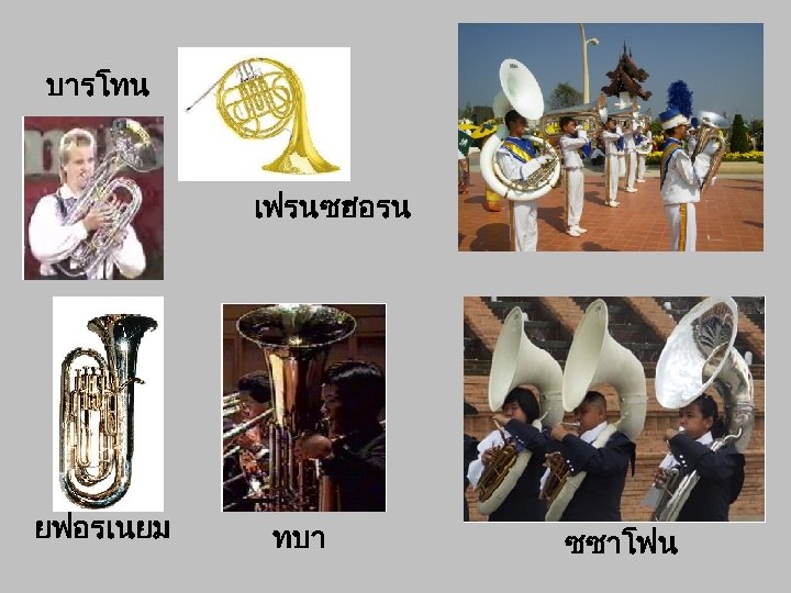 บารโทน เฟรนซฮอรน ยฟอรเนยม ทบา ซซาโฟน 