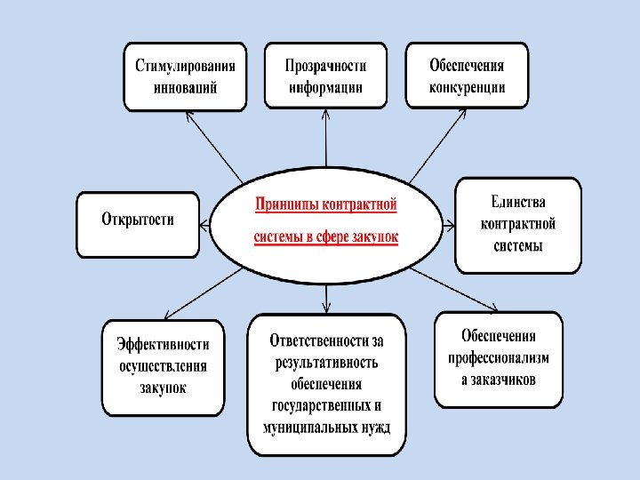 Контрактная система закупок товаров