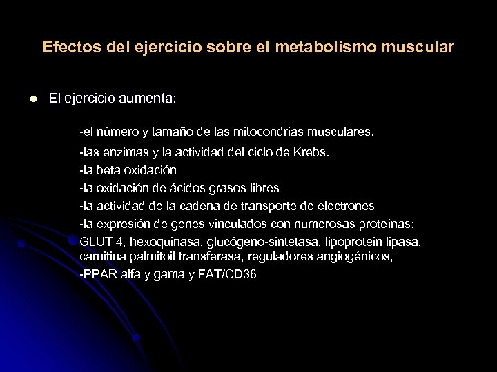 Efectos del ejercicio sobre el metabolismo muscular l El ejercicio aumenta: -el número y