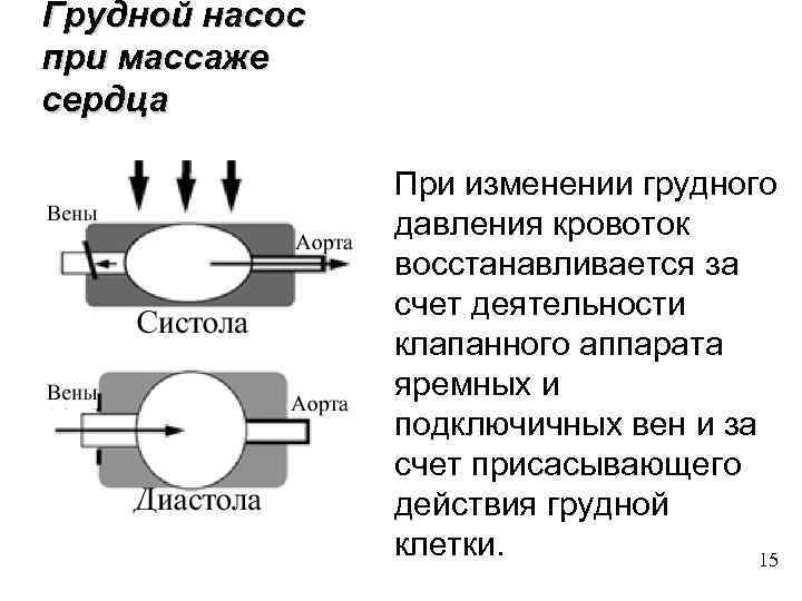 Грудной насос при массаже сердца При изменении грудного давления кровоток восстанавливается за счет деятельности