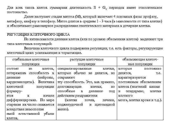 Для всех типов клеток суммарная длительность S + G 2 периодов имеет относительное постоянство.