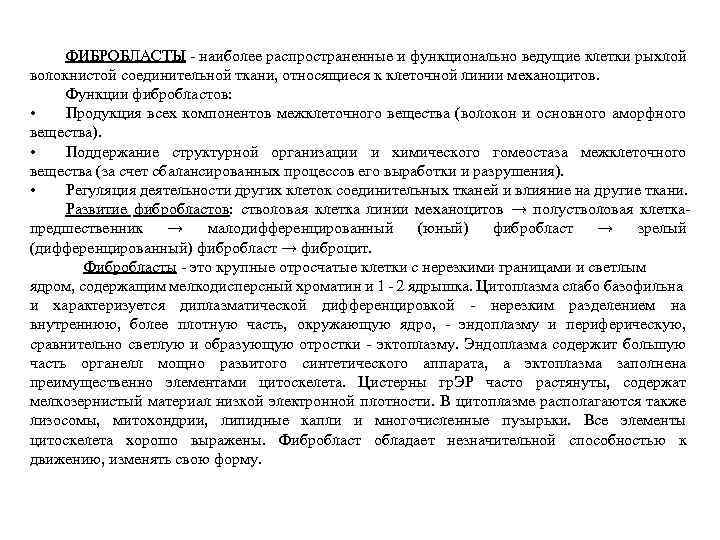 ФИБРОБЛАСТЫ - наиболее распространенные и функционально ведущие клетки рыхлой волокнистой соединительной ткани, относящиеся к