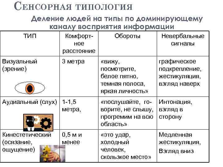 Чего есть 5 видов. Сенсорная типология. Сенсорная типология личности. Сенсорные каналы восприятия. Типология восприятия.