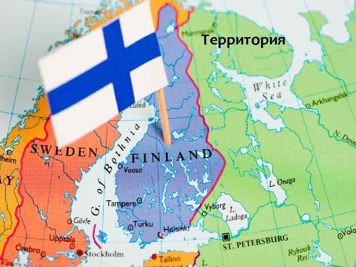 Территория 