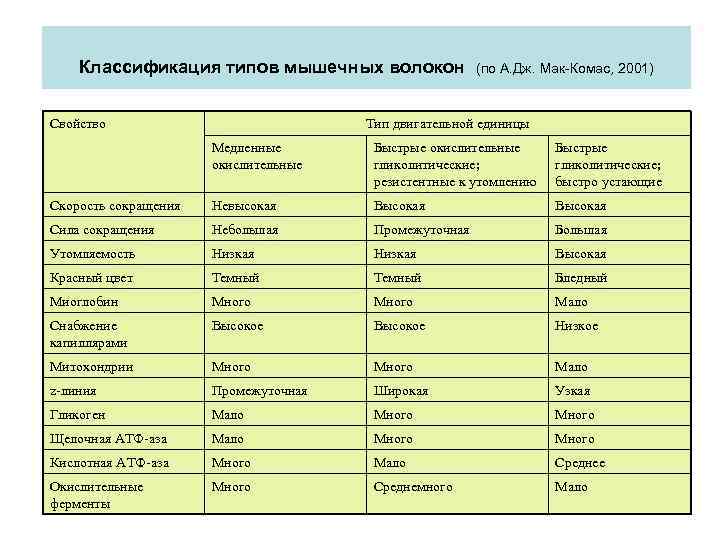 Классификация типов мышечных волокон Свойство (по А. Дж. Мак-Комас, 2001) Тип двигательной единицы Медленные