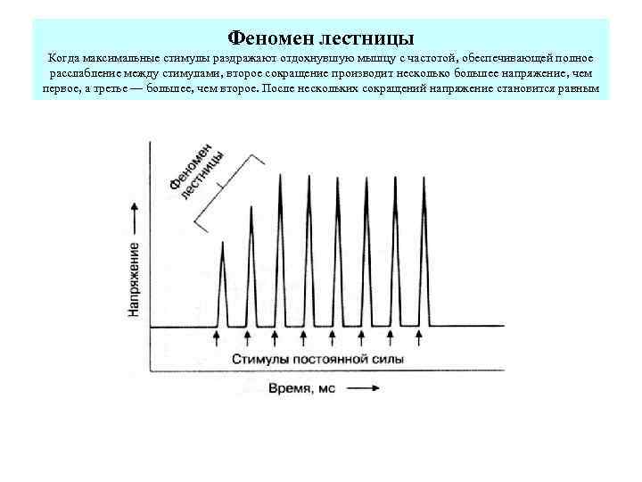 Эффект защелки физиология