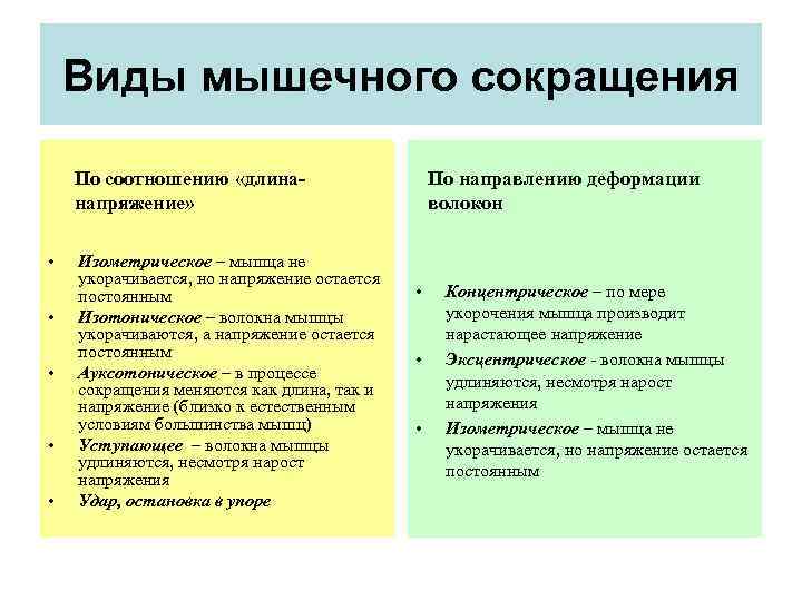 Виды мышечного сокращения По соотношению «длина напряжение» • • • Изометрическое – мышца не