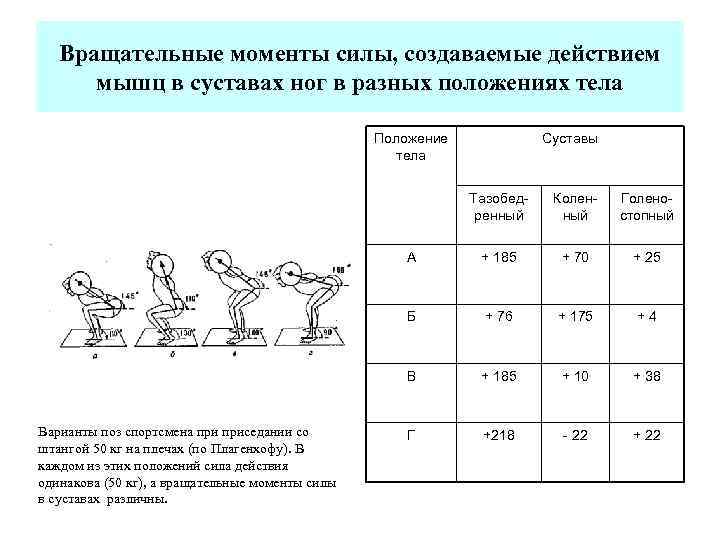Вращательные моменты силы, создаваемые действием мышц в суставах ног в разных положениях тела Положение