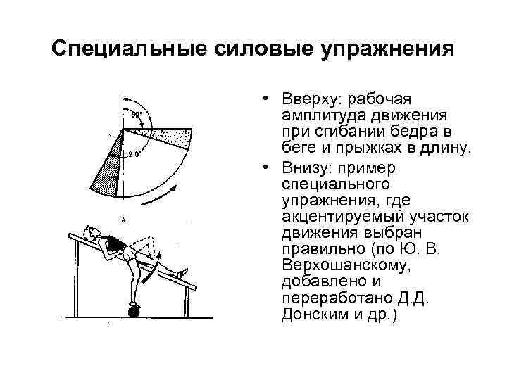 Специальные силовые упражнения • Вверху: рабочая амплитуда движения при сгибании бедра в беге и
