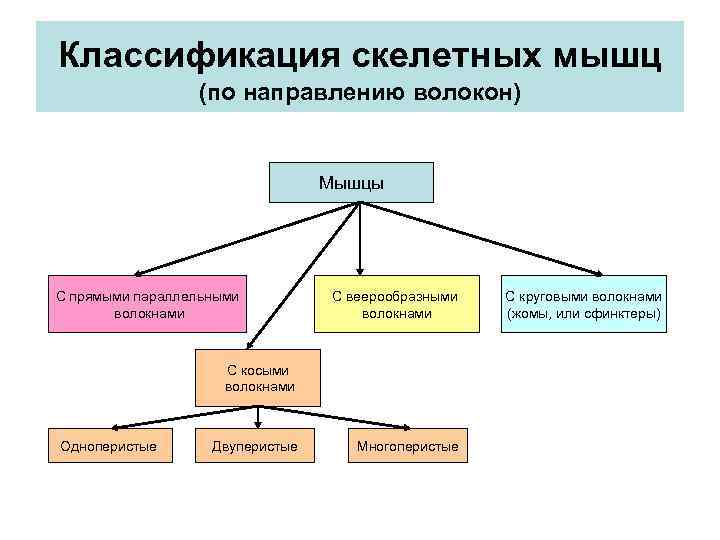 Структуры по сиду