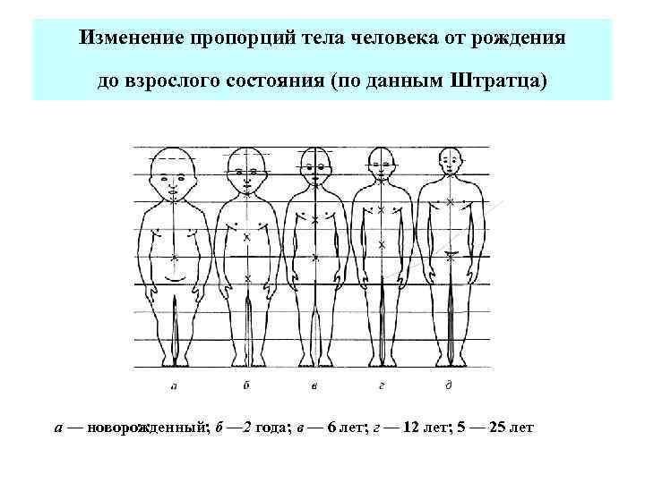 При изменении размера рисунка пропорции и очертания всегда точно выдерживаются