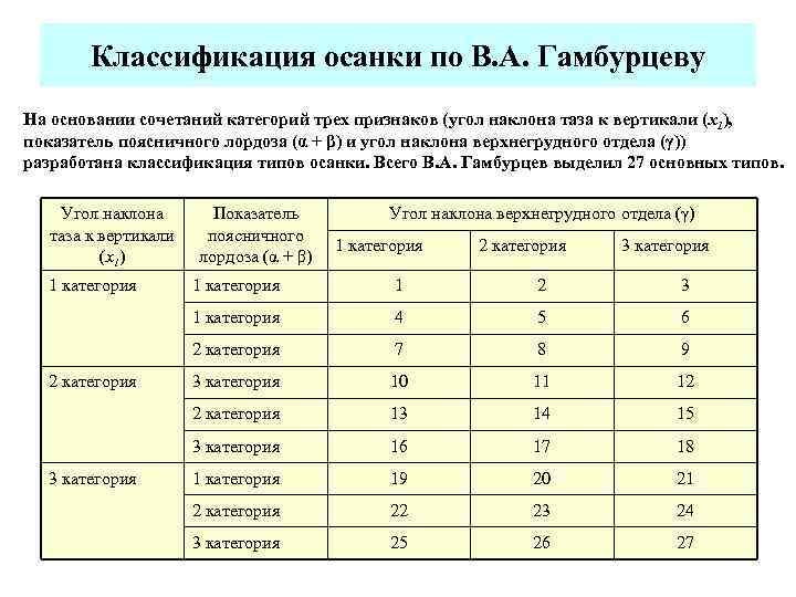 Классификация осанки по В. А. Гамбурцеву На основании сочетаний категорий трех признаков (угол наклона