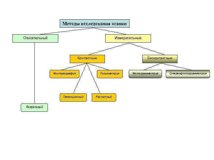 Методы исследования осанки Описательный Измерительные Контактные Контурография Проекционный Визуальный Бесконтактные Гониометрия Расчетный Фотограмметрия Стереофотограмметрия