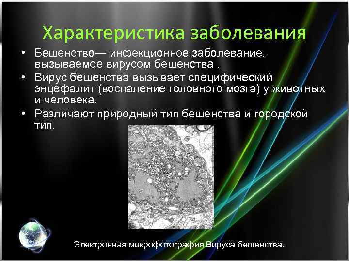 Характеристика заболевания • Бешенство— инфекционное заболевание, вызываемое вирусом бешенства. • Вирус бешенства вызывает специфический