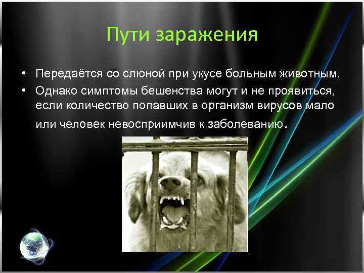 Пути заражения • Передаётся со слюной при укусе больным животным. • Однако симптомы бешенства