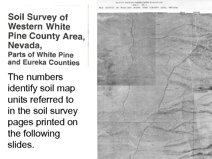 The numbers identify soil map units referred to in the soil survey pages printed