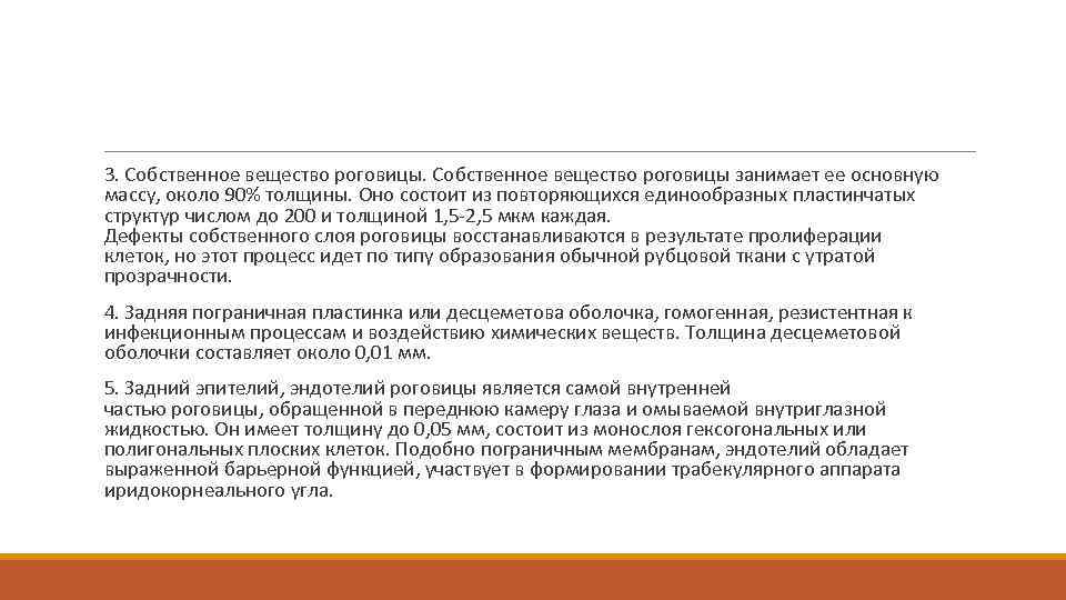  3. Собственное вещество роговицы занимает ее основную массу, около 90% толщины. Оно состоит