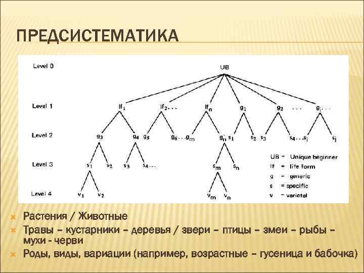 ПРЕДСИСТЕМАТИКА Растения / Животные Травы – кустарники – деревья / звери – птицы –