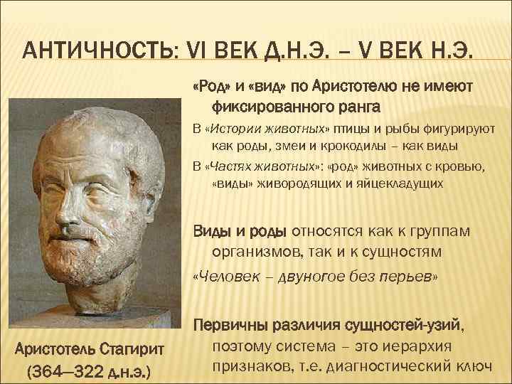 Краткое античное. Античность это определение. Античность это кратко. Период античности даты. Античность это какие века.