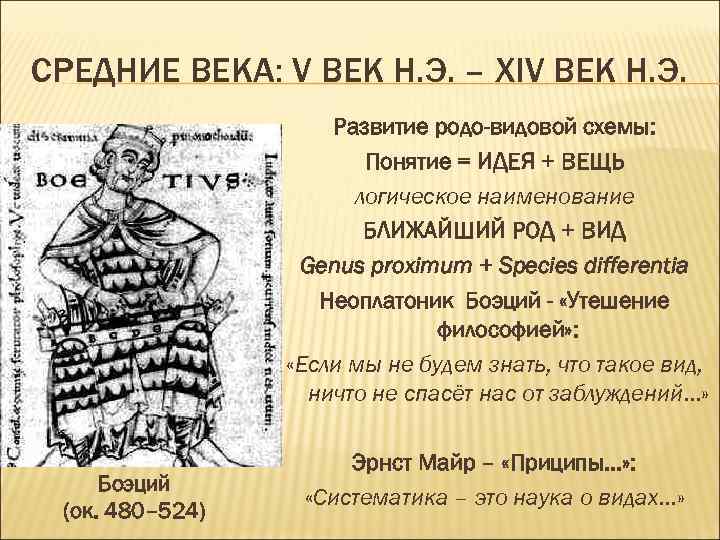 СРЕДНИЕ ВЕКА: V ВЕК Н. Э. – ХIV ВЕК Н. Э. Развитие родо-видовой схемы: