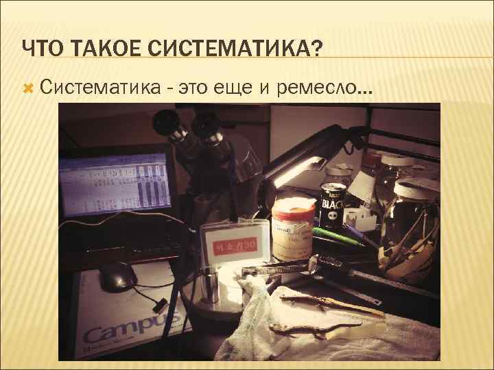 ЧТО ТАКОЕ СИСТЕМАТИКА? Систематика - это еще и ремесло. . . 