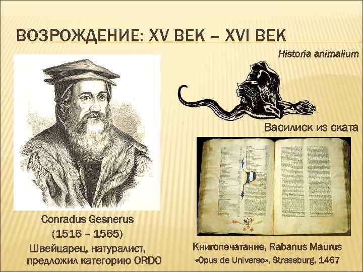 ВОЗРОЖДЕНИЕ: ХV ВЕК – ХVI ВЕК Historia animalium Василиск из ската Conradus Gesnerus (1516