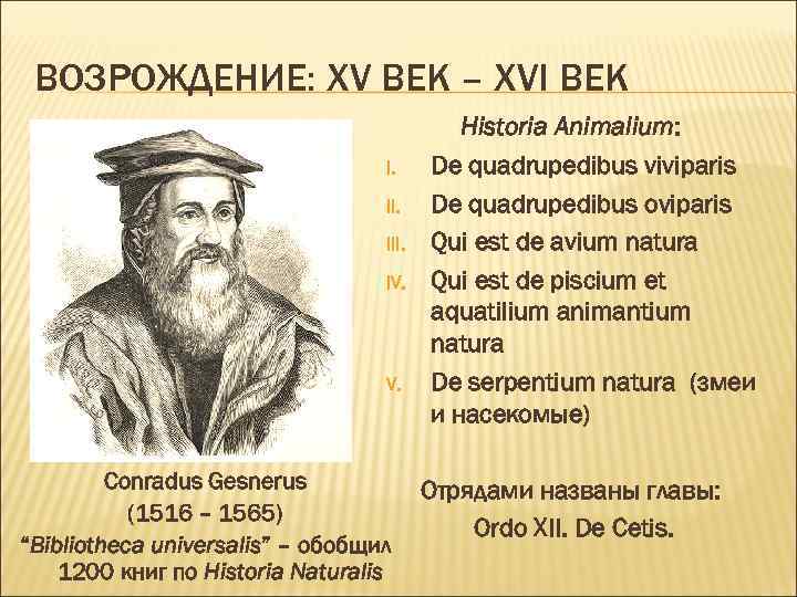 ВОЗРОЖДЕНИЕ: ХV ВЕК – ХVI ВЕК I. III. IV. Conradus Gesnerus (1516 – 1565)