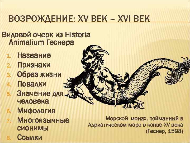 ВОЗРОЖДЕНИЕ: ХV ВЕК – ХVI ВЕК Видовой очерк из Historia Animalium Геснера 1. 2.