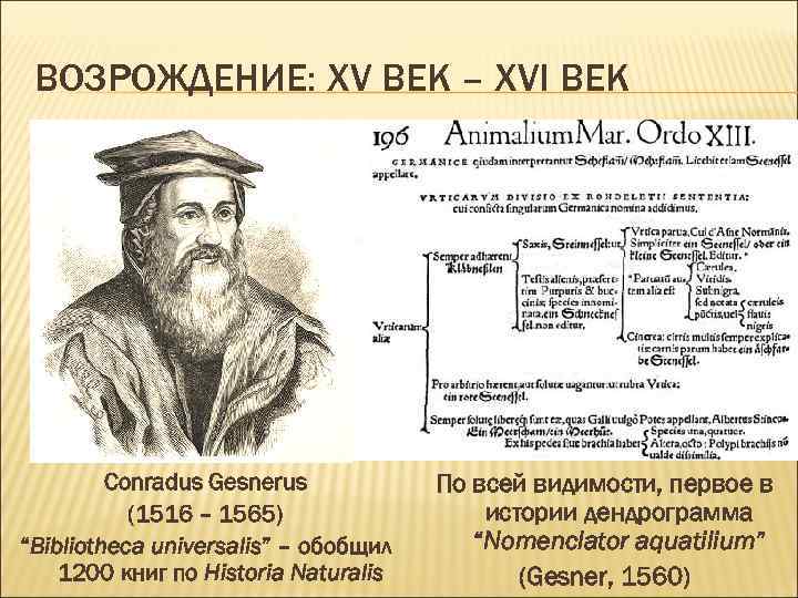 ВОЗРОЖДЕНИЕ: ХV ВЕК – ХVI ВЕК Conradus Gesnerus (1516 – 1565) “Bibliotheca universalis” –