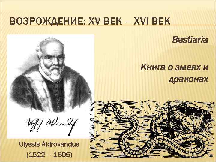 ВОЗРОЖДЕНИЕ: ХV ВЕК – ХVI ВЕК Bestiaria Книга о змеях и драконах Ulyssis Aldrovandus