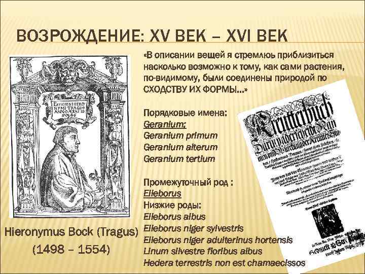 ВОЗРОЖДЕНИЕ: ХV ВЕК – ХVI ВЕК «В описании вещей я стремлюь приблизиться насколько возможно