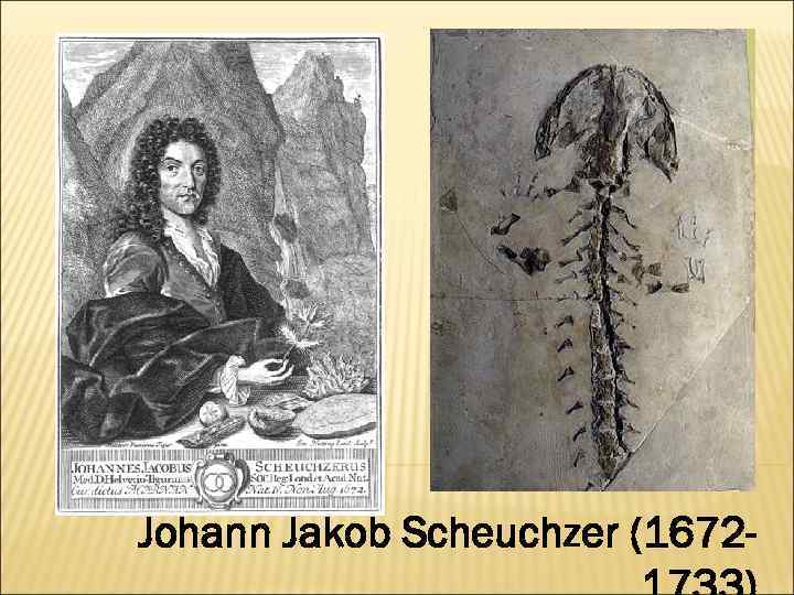 Johann Jakob Scheuchzer (1672 - 