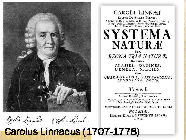 Carolus Linnaeus (1707 -1778) 