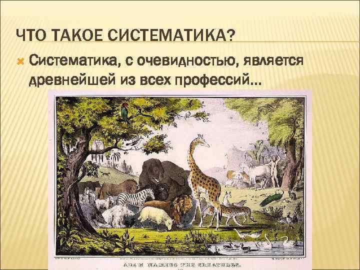 ЧТО ТАКОЕ СИСТЕМАТИКА? Систематика, с очевидностью, является древнейшей из всех профессий. . . 