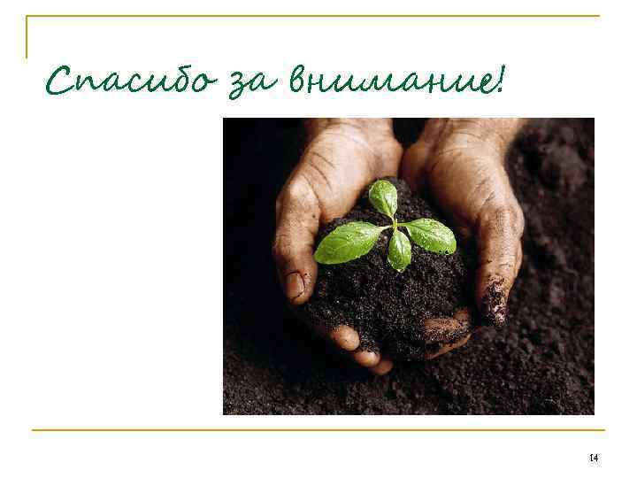 Спасибо за внимание! 14 