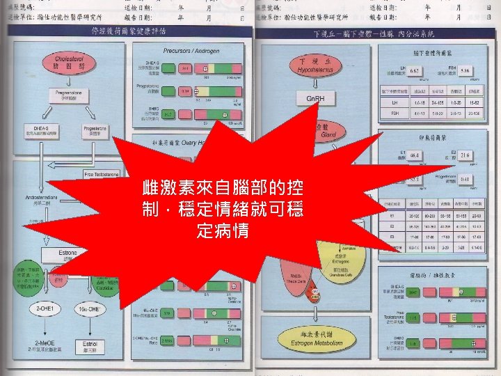 雌激素來自腦部的控 制，穩定情緒就可穩 定病情 