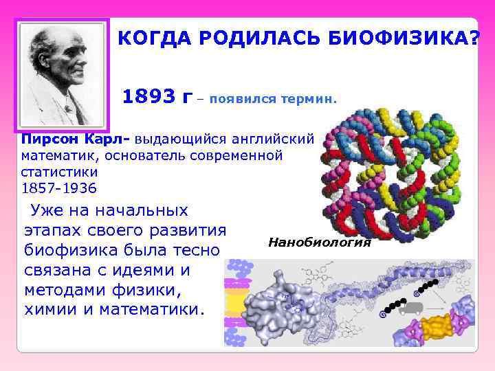 КОГДА РОДИЛАСЬ БИОФИЗИКА? 1893 г – появился термин. Пирсон Карл- выдающийся английский математик, основатель