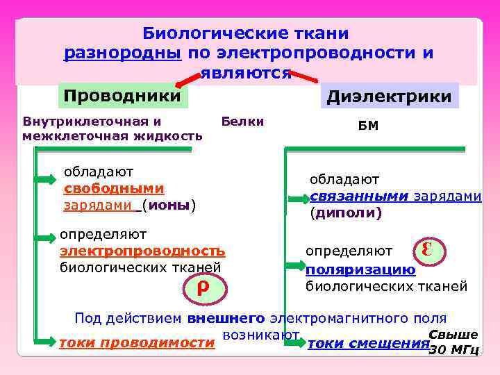 Биологические ткани разнородны по электропроводности и являются Проводники Диэлектрики Внутриклеточная и межклеточная жидкость Белки