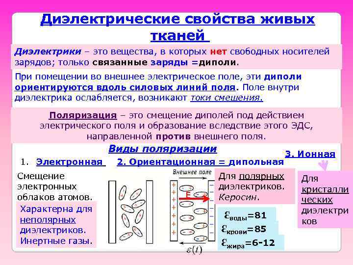 Диэлектрические свойства живых тканей Диэлектрики – это вещества, в которых нет свободных носителей зарядов;