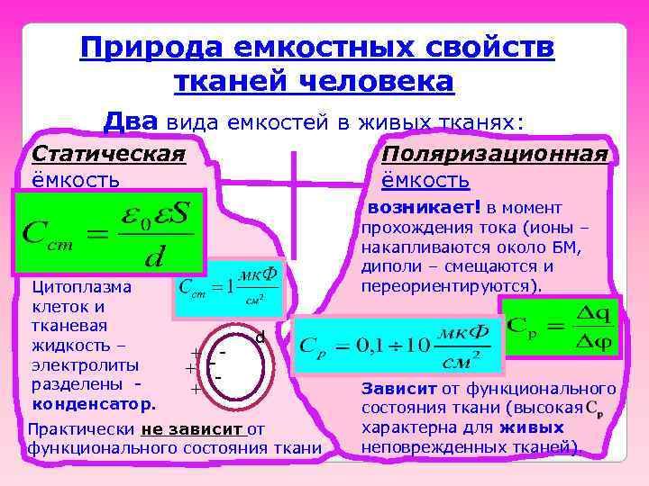 Природа емкостных свойств тканей человека Два вида емкостей в живых тканях: Статическая ёмкость Поляризационная