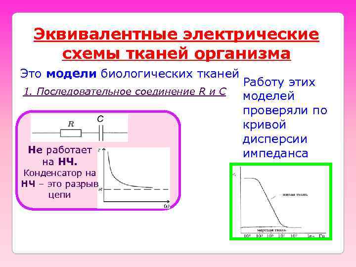 Эквивалентные электрические схемы тканей организма Это модели биологических тканей 1. Последовательное соединение R и