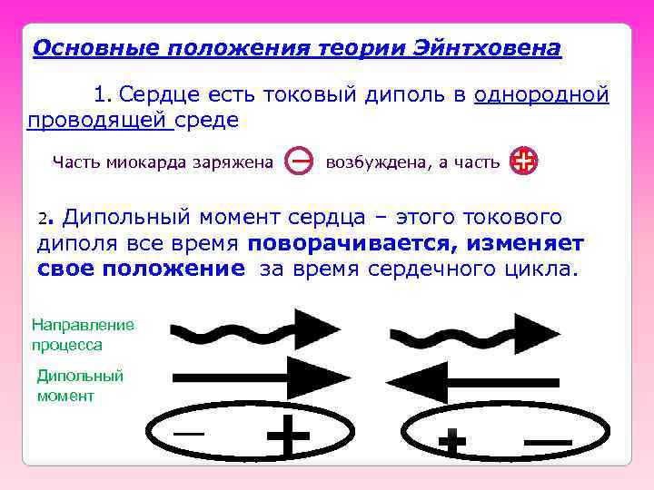 Основные положения теории Эйнтховена 1. Сердце есть токовый диполь в однородной проводящей среде Часть