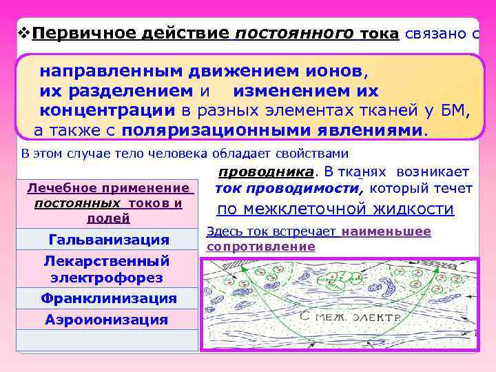 v. Первичное действие постоянного тока связано с направленным движением ионов, их разделением и изменением